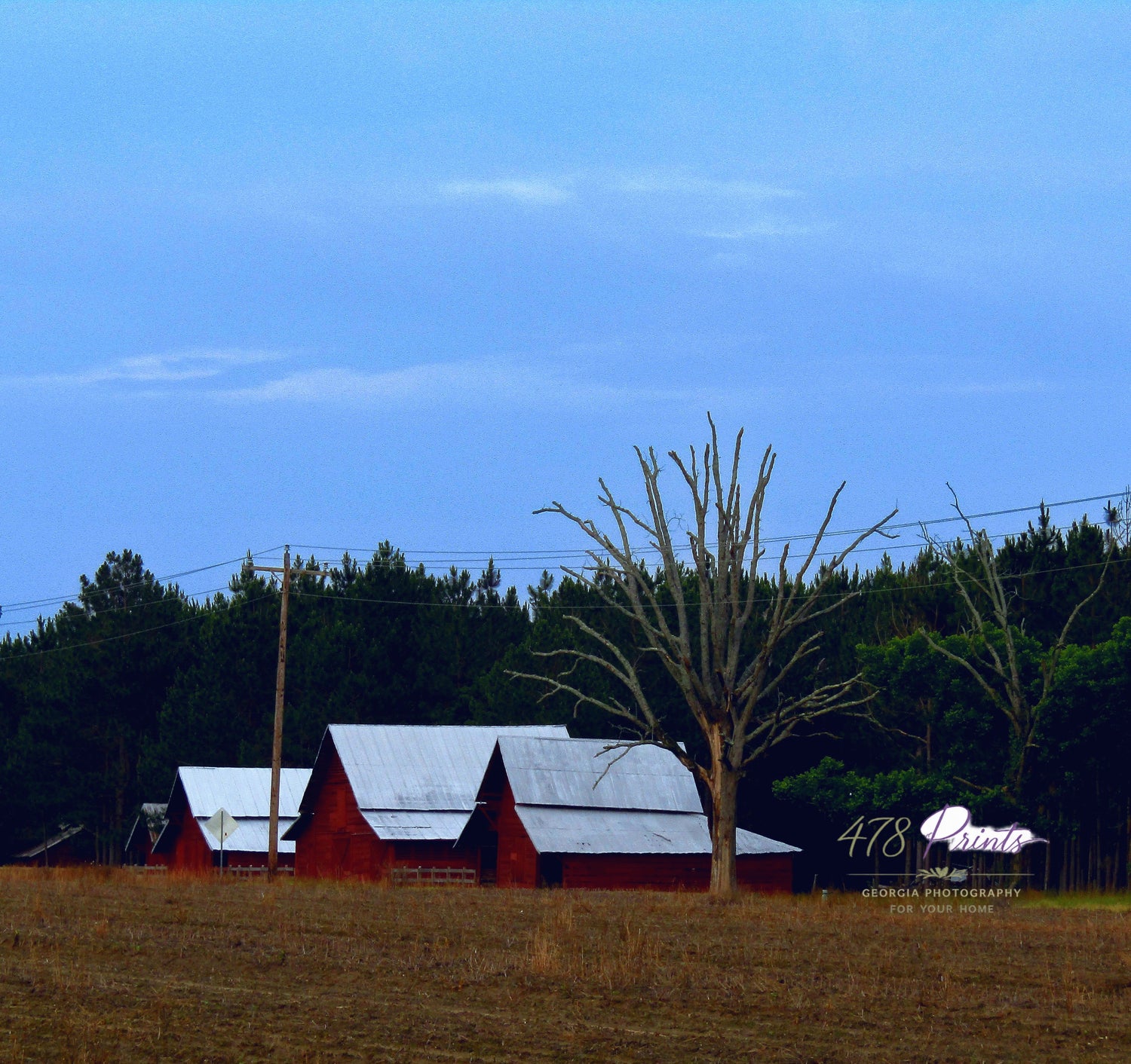 Rustic/Americana