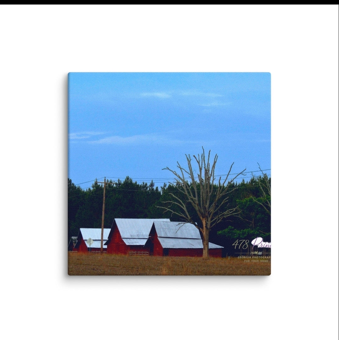 Canvas