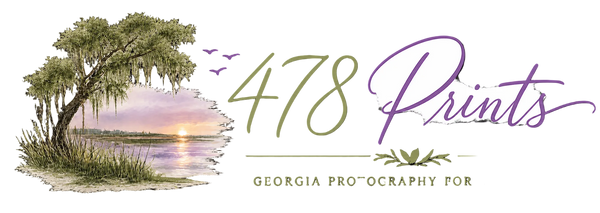 478 Prints